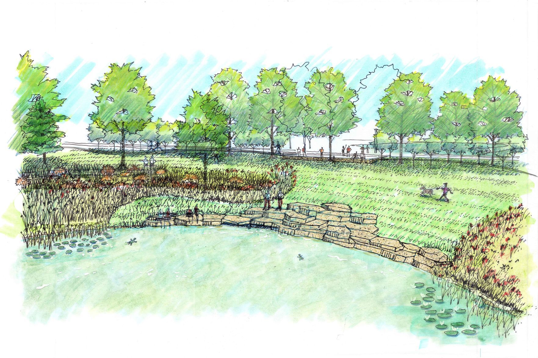 Forest Park Forever eastern waterways project
